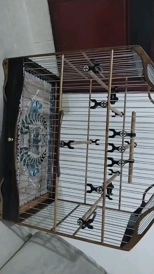 Roro Gonzaga