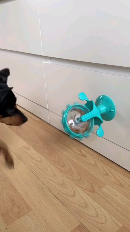 #Brinquedo Para #Gato #Pet #Dispenser #Rotativo #comprinhas #oferta #COMPRINHAONLINE #compras