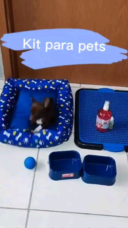 Cachorro Gato Completo Caminha Comedouro Bebedouro Tapete Sanitário #cachorro #comedouro #bebedouro #tapete #sanitario #dog