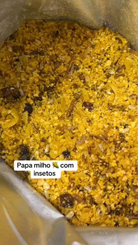 Milho Verde, Mel Ovos e Insetos #misturaparapassaros #passaros #racaopassaros #aves