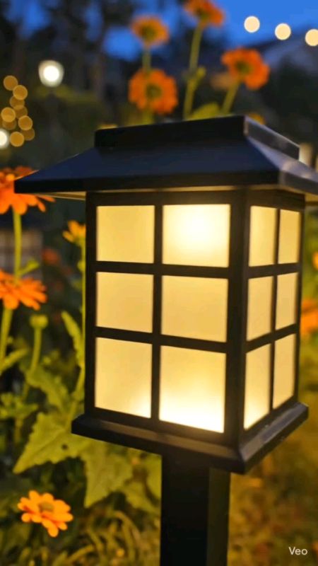 luz decorativa solar. #luz #jardim #jardinagem