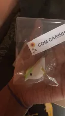 Imagem do Produto