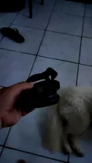 Imagem do Produto
