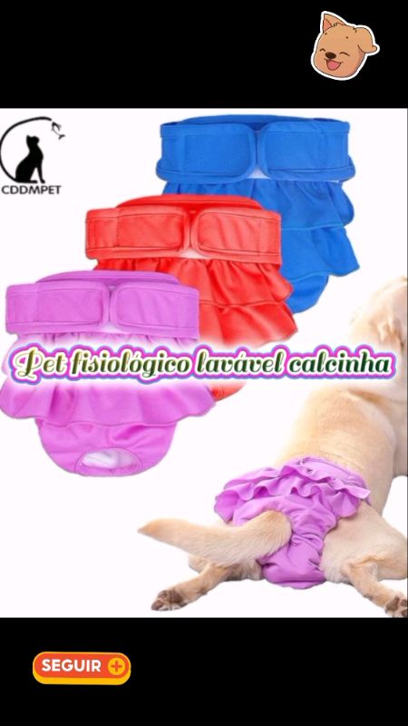 Pet fisiológico lavável calças das calcinhas #petfisiologico #calcaenxuta #pet #calcinhapet #calcinha #lavavel #calcinhaparapet #modapet