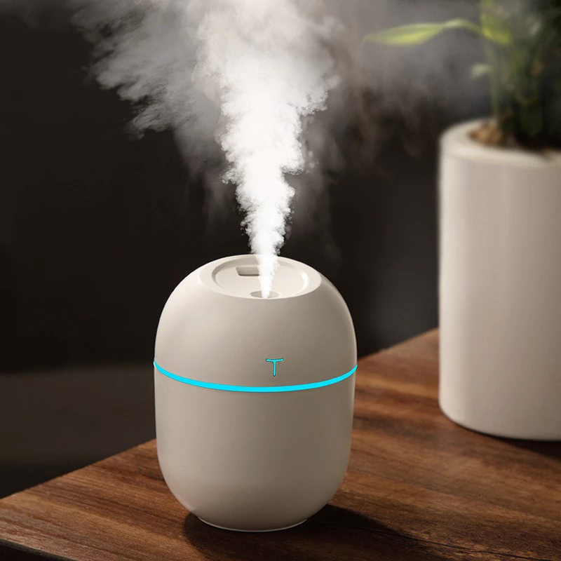 Umidificador Purificador de Ar Difusor Egg Portátil